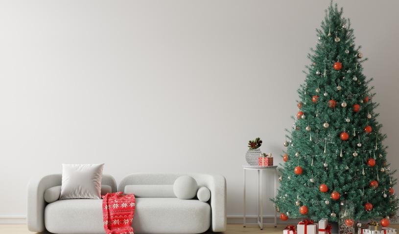 Kerstbomen & Accessoires