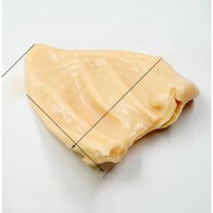 Simulatie Voedsel Model Hotel Decoratie Plastic Nep Gebakken Eend Foie Gras Pettitoe Fotosessie Vroege Kinderen Onderwijs Rekwisieten - Auburn