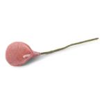 Vilten bloemen, handvilt, enkele lelie/flamingobloem/calla, bloemen van vilt, Fair Trade handgemaakt (1 bloem (abrikoos))