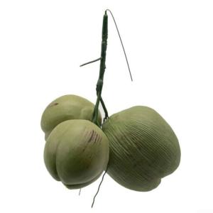 Künstliche Kokosnuss-/Obst- und Gemüse-Modelle, künstliche Kokosnuss, Bauernhaus-Dekoration, künstliche Obst-Requisiten (27 x 34 cm)
