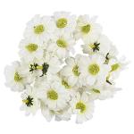 Decoratieve bloemen, , verschillende soorten, ca. diameter 4-5 cm (margriet - wit - 27 stuks)