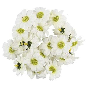 Decoratieve bloemen, , verschillende soorten, ca. diameter 4-5 cm (margriet - wit - 27 stuks)