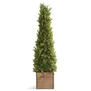 K&K Interiors 16240C Buchsbaum-Kegelbaum aus Naturholz, 83 cm, quadratisch, Grün