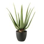Aloë Vera plant, kunstplant, kunstboom, kunstplant, decoratie, in zwarte pot, zeer realistisch, groen, 45 cm - MN-KP-2218