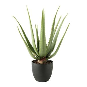 Aloë Vera plant, kunstplant, kunstboom, kunstplant, decoratie, in zwarte pot, zeer realistisch, groen, 45 cm - MN-KP-2218