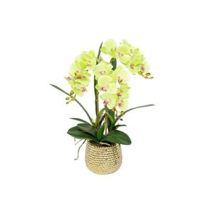 Kunst Phalaenopsis Modieuze Potplanten Decoratie Bloemstukken Tafeldecoraties