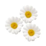 Kunstmadeliefjes, 200 stuks, bloemenboeketten, decoratie, , decoratie voor feestjes, bruiloften, knutselen, decoratie, handwerk, wit