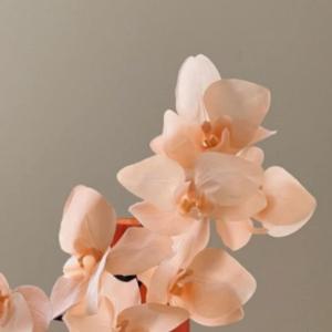 Kunstblumen Künstliche Orchideenblumen mit orangefarbener Glasvase Real Touch Künstliche Schmetterlings-Orchideenblume für Hochzeiten im Home Office für jeden Anlass