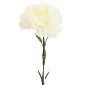 NELKE EINZELNE Blume Weiss SCHÖN, Nelken, künstliche Blumen für Immer Pflanzen,für Foto-Requisiten,Heim-Party und Hochzeitsdekoration