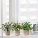in pot, , klein als echt, 3 stuks, bureauplanten, mini-voor tafeldecoratie, huis, balkon, kantoor, decoratie #3