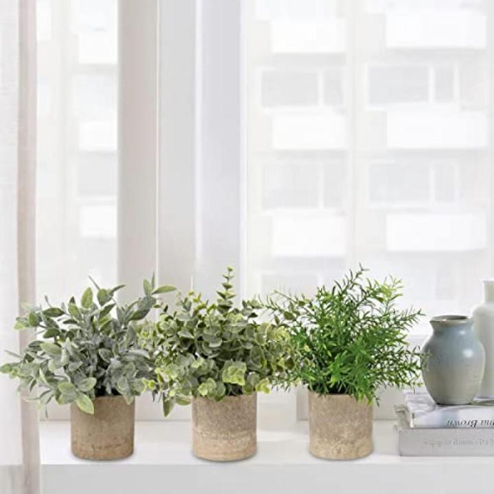 in pot, , klein als echt, 3 stuks, bureauplanten, mini-voor tafeldecoratie, huis, balkon, kantoor, decoratie #3