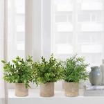 in pot, , klein als echt, 3 stuks, bureauplanten, mini-voor tafeldecoratie, huis, balkon, kantoor, decoratie #1