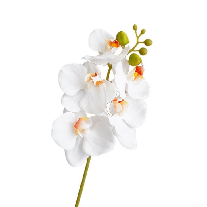 Künstliche Orchideenstiele, fühlen sich echt an, Phalaenopsis 45 cm, künstliche Orchideenzweige mit 5 großen Blumen für Vase, Hochzeit, Party, Zuhause, Garten, Dekoration (wei