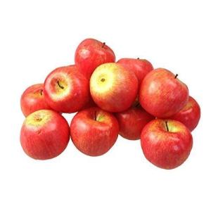 Kunstdecoratie, appel, 15 stuks, rood, 90-120 g/stuk, levensecht plastic fruit, plastic vruchten, kunstfruit, decoratie, etalage, huishouden, keuken, feest, hotel