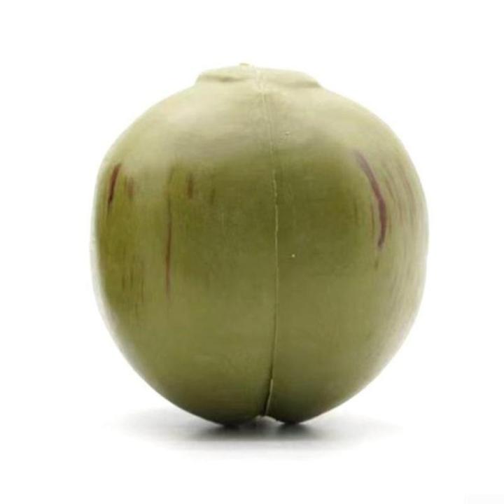 Künstliche Kokosnuss-/Obst- und Gemüse-Modelle, künstliche Kokosnuss, Bauernhaus-Dekoration, künstliche Obst-Requisiten (11 x 10 x 10 cm)