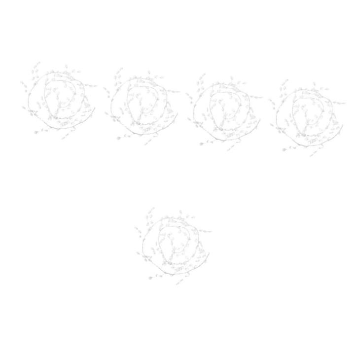 5 Stück Kristallperlen Blumen Hochzeit Party Acrylperlen Blumenzweig Acrylzweig Knospenzweig Künstlicher Blumenzweig Heimdekoration Hochzeitspflanze