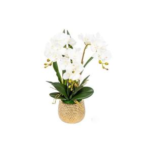 Kunst Phalaenopsis Modieuze Potplanten Decoratie Bloemstukken Tafeldecoraties