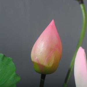 Kunstblumen Künstlicher Lotus Gefälschte Blumensträuße Simulation Seerose Langer Stiel mit Keramiktopf für Home Office Balkondekoration für jeden Anlass