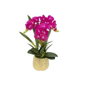 Kunst Phalaenopsis Modieuze Potplanten Decoratie Bloemstukken Tafeldecoraties