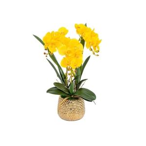Kunst Phalaenopsis Modieuze Potplanten Decoratie Bloemstukken Tafeldecoraties