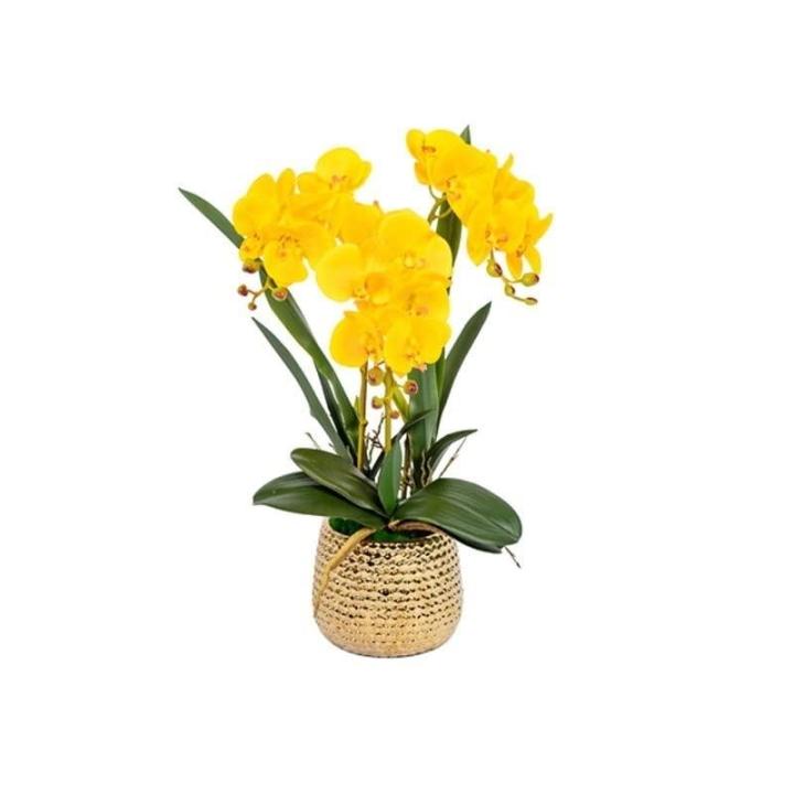 Kunst Phalaenopsis Modieuze Potplanten Decoratie Bloemstukken Tafeldecoraties