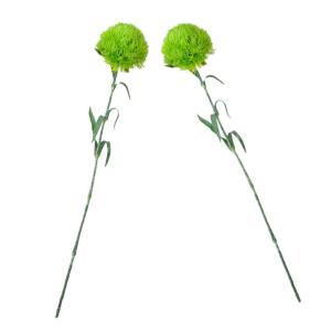 2St kunstpflanze kunstplflanze Office Decoration Grünpflanzen pflücken Formschnittpflanzen Stängel zimmerpflanzen Pflanzen dekor künstliche grüne Blätter Weich-PVC Light Gree