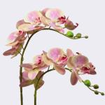 Kunstblumen Künstliche Blumen-Bonsai mit Vase, künstliche Orchidee, Phalaenopsis-Blumen, dekorativ, Zimmerpflanzen, realistische Anordnung für jeden Anlass