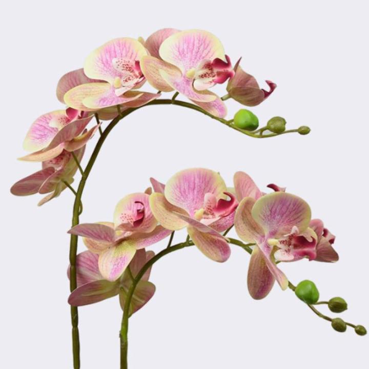 Kunstblumen Künstliche Blumen-Bonsai mit Vase, künstliche Orchidee, Phalaenopsis-Blumen, dekorativ, Zimmerpflanzen, realistische Anordnung für jeden Anlass