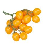 4 Stück Simulierte Kleine Tomaten Künstliche Kirschtomaten-Modell Gefälschte Kirschtomaten Lebensechte Frucht Küche Kirschtomaten Prop Hausbedarf Wohndekoration Yellow Schaum