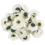 Decoratieve bloemen, , verschillende soorten, ca. diameter 4 - 5 cm (anemoon - wit - 27 stuks)
