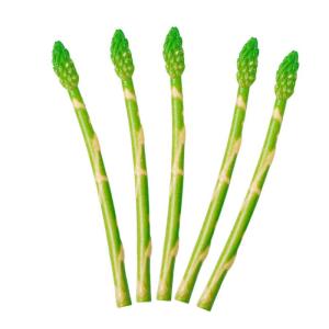 5 Stück Simulierter Spargel Künstlicher Spargel Künstlicher Spargel Künstlicher Spargel Modell Spargel Spielzeug Spargel Requisite Für Die Küche Lebensechter Spargel Foto