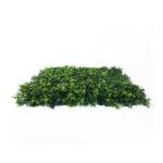 Kunsthaag Set - 4 x 50x50 cm - Groene Wand - Kunstklimop - Namaak Plant - Balkonscherm - Voor Buiten en Binnen - Olive