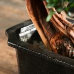Künstlicher Bonsai-Baum Künstliche Pflanzen, 23 cm, schwarzer Keramiktopf, künstlicher Bonsai-Baum, künstliche Topfpflanze for Zuhause, Büro, Hochzeit, Gartendekoration Künst