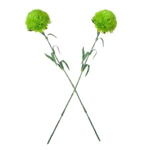 2St kunstpflanze kunstplflanze dekoringe Blumenarrangements pflanzendeko Zimmerpflanze Künstliche Grünpflanzen Büro künstliche Pflanzen falsche grüne Stiele Weich-PVC Light Gr