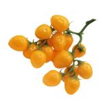 2st Simulierte Kleine Tomaten Künstliche Kirschtomaten-Modell Kunstfruchtdekor Realistisch Simulationsfrucht Zuhause Gefälschte Fruchtstütze Küche Kirschtomaten Prop Yellow Sch