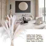 Pampas gedroogde bloemendecoratie, natuurlijk, 67 stuks, doe-het-zelf, gedroogde bloemen, boeket, ideaal voor boho, woonkamer, bruiloft, slaapkamer en vazen (LZGSGO-0102)