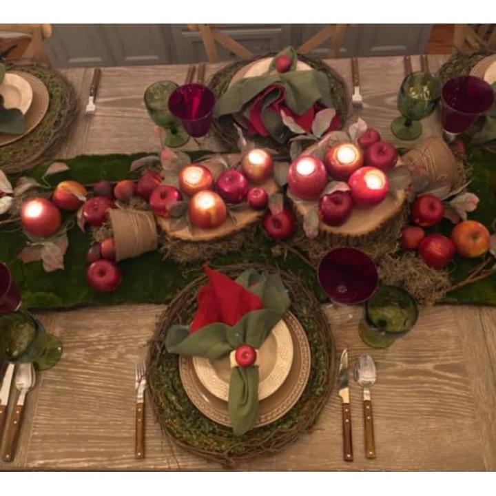 Kunstdecoratie, appel, 15 stuks, rood, 90-120 g/stuk, levensecht plastic fruit, plastic vruchten, kunstfruit, decoratie, etalage, huishouden, keuken, feest, hotel