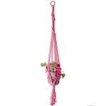 Handgemaakte Macramé Bedrijfshanger Bloem / Pot Hanger Pot Vak voor Wanddecoratie Count/Tuin Pothouder voor Planten (Kleur: DTC1020)
