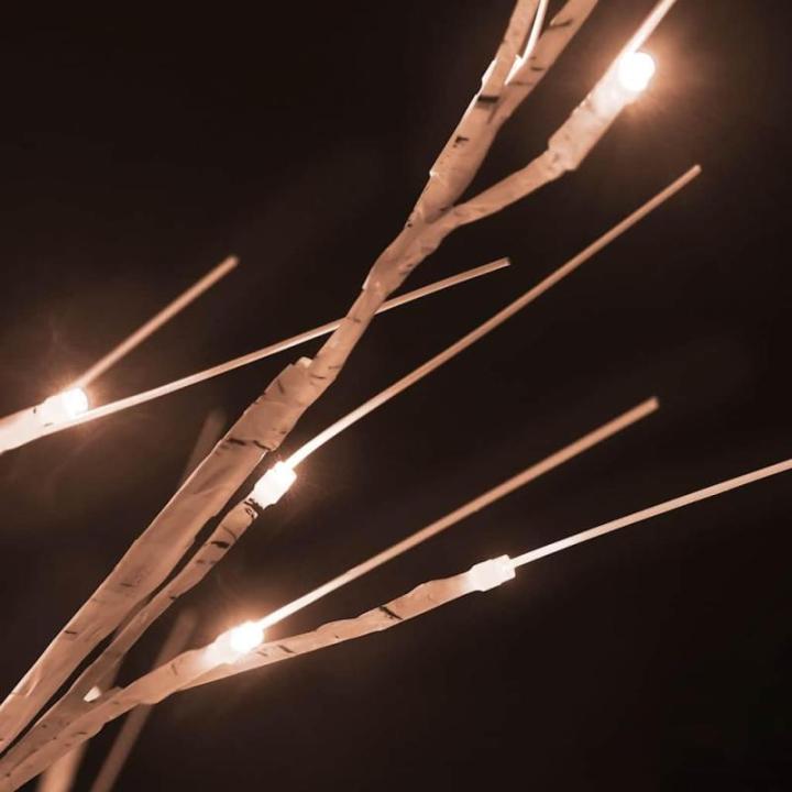 LED berkenboom warm wit 48 leds verlichte berkenboom lichtboom lichtboom kerstdecoratie verlichting decoratieve boom kunstboom 120cm