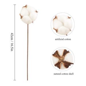 20 stuks katoenen takken, natuurlijke gedroogde bloemen, kunstbloemen, decoratieve bloemen, wit, kunstbloemen voor vaas, bruiloft, kamer, café, decoratie voor Scandinavische decor