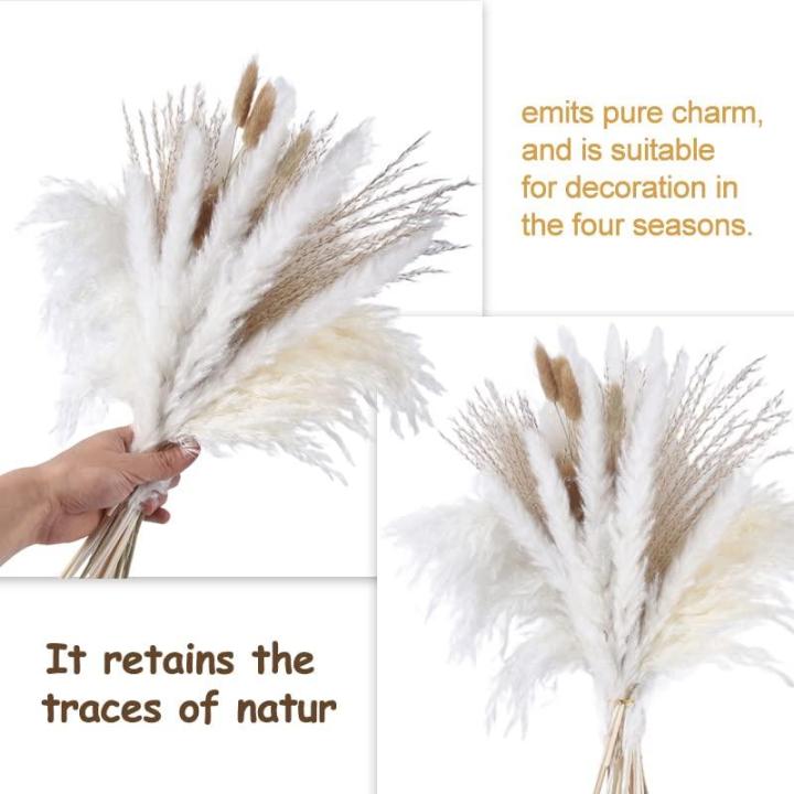 Pampas gedroogde bloemendecoratie, natuurlijk, 67 stuks, doe-het-zelf, gedroogde bloemen, boeket, ideaal voor boho, woonkamer, bruiloft, slaapkamer en vazen (LZGSGO-0102)