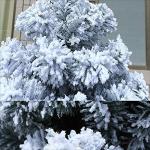 Weihnachtsbaum 4/5/6/7 / 8ft Weihnachtsbaum Schnee beflockt künstliche Kiefer mit reißverschluss Weihnachtsbaum Simulation Schnee zeder skulptur Dekoration mit metallständer