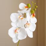 Künstliche Orchideenstiele, fühlen sich echt an, Phalaenopsis 45 cm, künstliche Orchideenzweige mit 5 großen Blumen für Vase, Hochzeit, Party, Zuhause, Garten, Dekoration (wei
