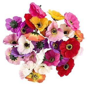 Decoratieve bloemen, , verschillende soorten, ca. diameter 4 - 5 cm (anemoon - kleurrijk - 27 stuks)