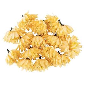 Decoratieve bloemen, , verschillende soorten, ca. diameter 4 - 5 cm (dahlia - abrikoos - 15 stuks)