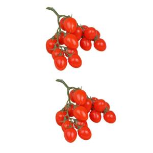 2st Simulierte Kleine Tomaten Zuhause Gefälschte Fruchtstütze Gefälschte Kirschtomaten Lebensechte Kirschtomaten Künstliche Kirschtomaten-Modell Simulation Kirschtomaten Rot Sc