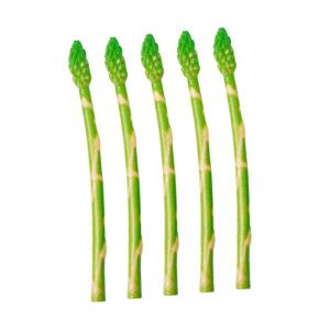 5st Simulierter Spargel Künstliche Spargelverzierung Künstlicher Spargelfarn Simulierte Spargelmodelle Spargel-Modelle Lebensechter Spargel Künstliches Spargeldekor PVC Green