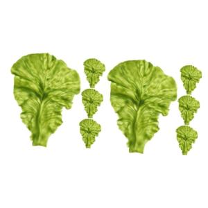 2 Sätze Salat-Requisite Simulation Salatblätter Gemüseblatt-Requisite Künstliche Salatblätter Simulation Von Salatblattmodellen Gemüsestütze Lebensmitteldekor Green PVC 4 St