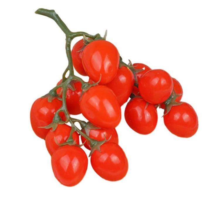 5 Stück Simulierte Kleine Tomaten Kirschen Kunstobst Dekor Realistische Obst Foto Requisite Obst Requisite Obst Fotografie Requisiten Party Dekor Künstliche Früchte