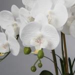 Kunstplant orchideeën kunstbloemen kunstbloemen als echt met echte bloemen in keramische pot tafeldecoratie vensterbank decoratie, hoogte 44 cm, wit